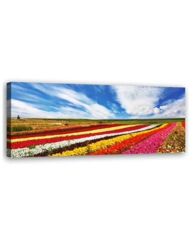 Field of colourful tulips - Wall painting for living room | FEEBY