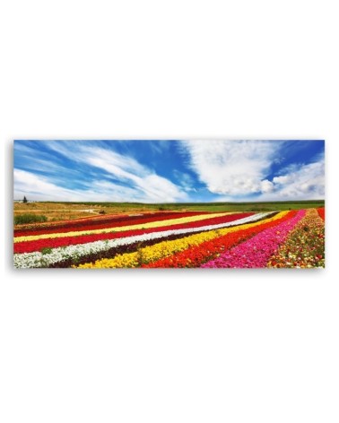 Leinwanddruck - Feld mit bunten Tulpen | Feeby