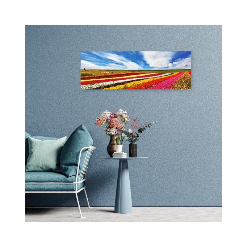 Leinwanddruck - Feld mit bunten Tulpen | Feeby