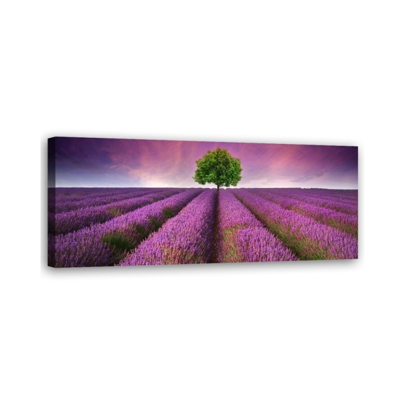 Leinwandbild - Feld mit Lavendel | Feeby