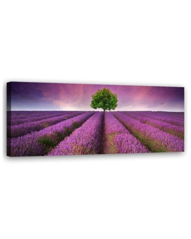 Leinwandbild - Feld mit Lavendel | Feeby