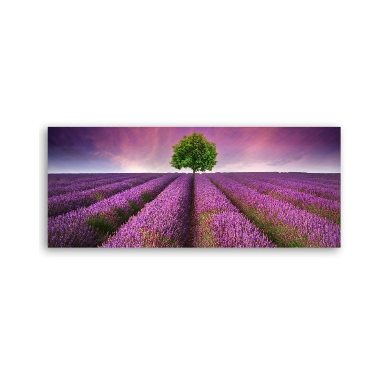 Leinwandbild - Feld mit Lavendel | Feeby