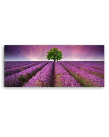 Leinwandbild - Feld mit Lavendel | Feeby