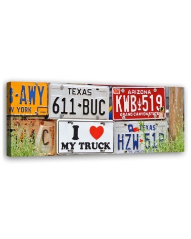 Us licence plate - Image printed on canvas | FEEBY