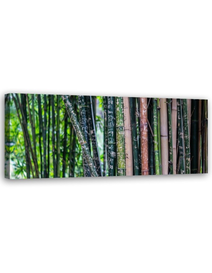 Modernes Wandbild - Bambus Stämme | Feeby