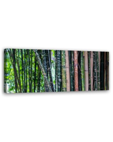 Modernes Wandbild - Bambus Stämme | Feeby