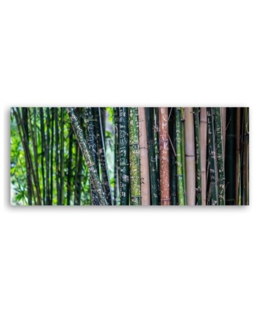 Modernes Wandbild - Bambus Stämme | Feeby