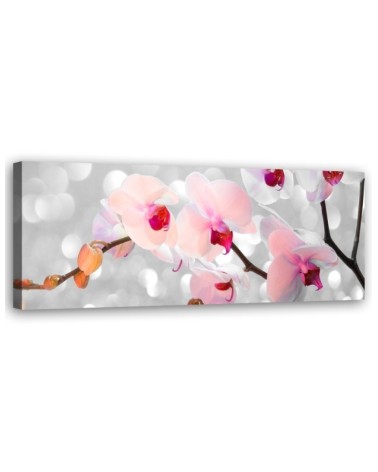 Dekoratives Leinwandbild - Orchideenblüten Natur | Feeby