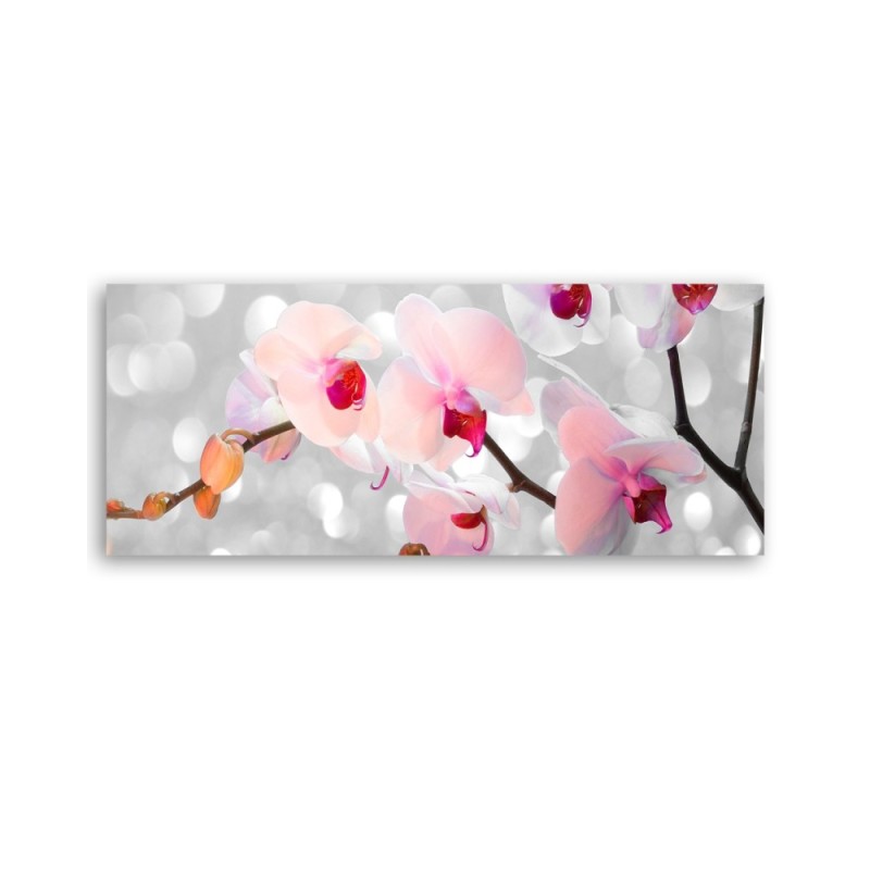 Dekoratives Leinwandbild - Orchideenblüten Natur | Feeby