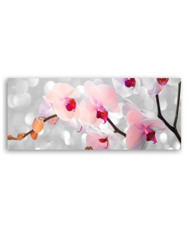 Dekoratives Leinwandbild - Orchideenblüten Natur | Feeby