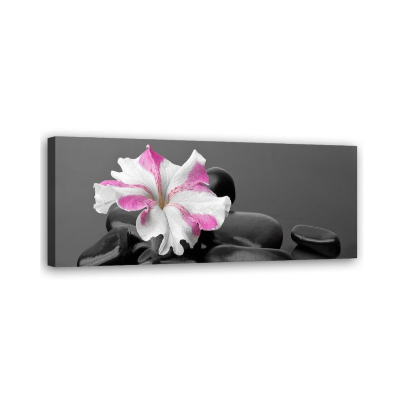 Stones pink flower zen - Decorative canvas picture | FEEBY