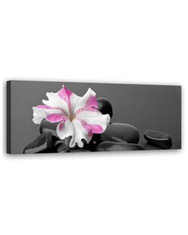 Modernes Wandbild - Stones Rosa Blume Zen | Feeby