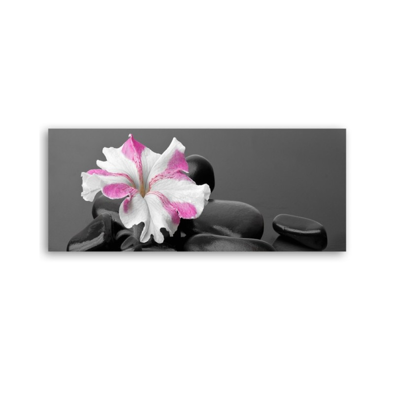 Modernes Wandbild - Stones Rosa Blume Zen | Feeby