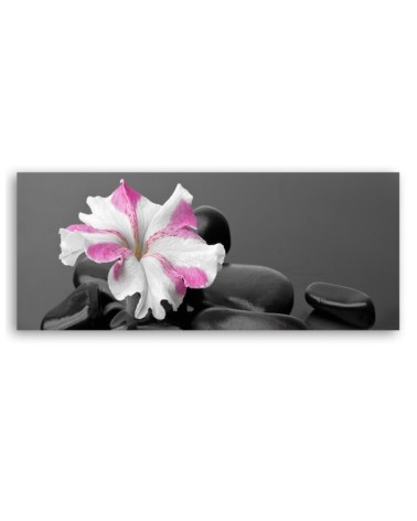 Modernes Wandbild - Stones Rosa Blume Zen | Feeby