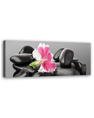 Leinwandbild - Blume und dunkle Zen-Steine | Feeby
