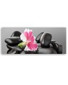 Flower and dark zen stones - Decorative painting for wall | FEEBY