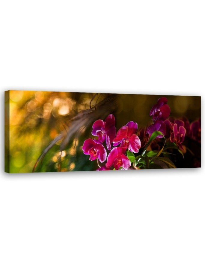 Leinwandbild - Zen Orchidee Blumen | Feeby