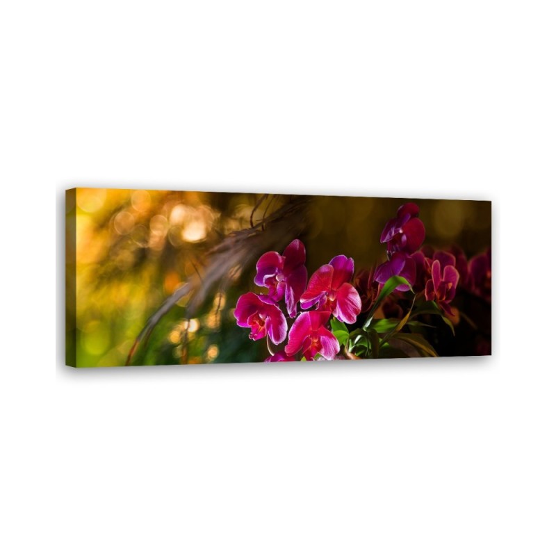 Leinwandbild - Zen Orchidee Blumen | Feeby