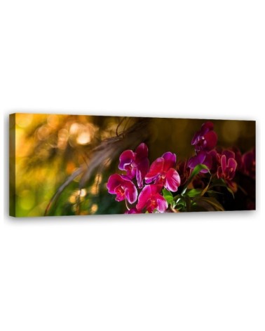 Leinwandbild - Zen Orchidee Blumen | Feeby