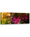 Kwiaty Orchidea Zen - Obraz do salonu | Feeby.pl