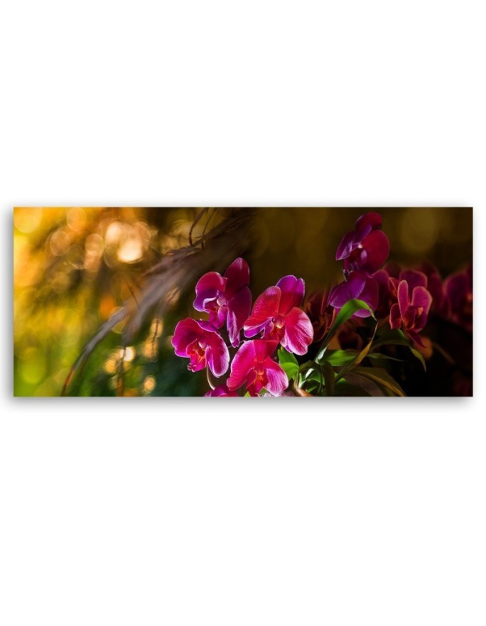 Kwiaty Orchidea Zen - Obraz do salonu | Feeby.pl