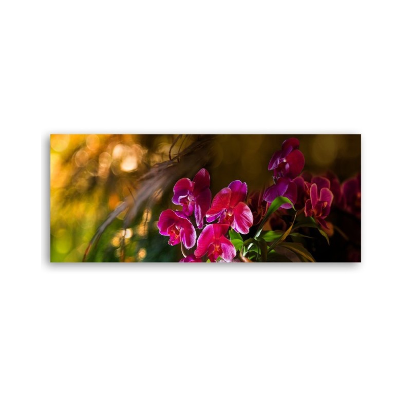 Leinwandbild - Zen Orchidee Blumen | Feeby
