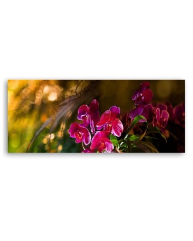 Leinwandbild - Zen Orchidee Blumen | Feeby