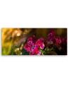 Kwiaty Orchidea Zen - Obraz do salonu | Feeby.pl
