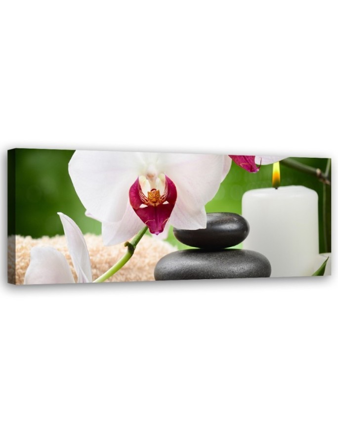 Orchidea Kwiaty Zen - Obraz do sypialni | Feeby.pl
