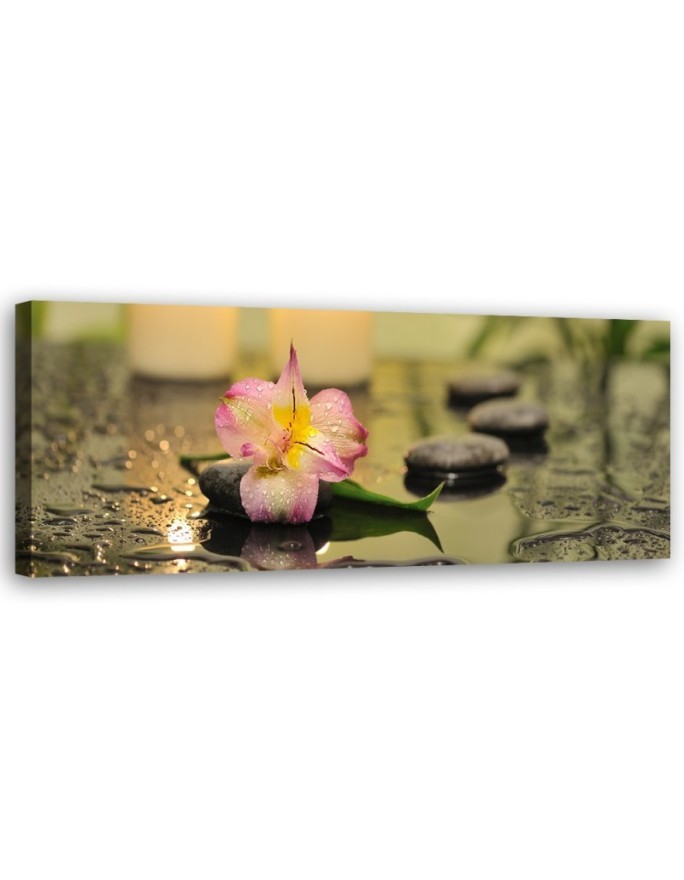 Orchidea Kamienie Zen - Obraz do salonu i sypialni | Feeby.pl