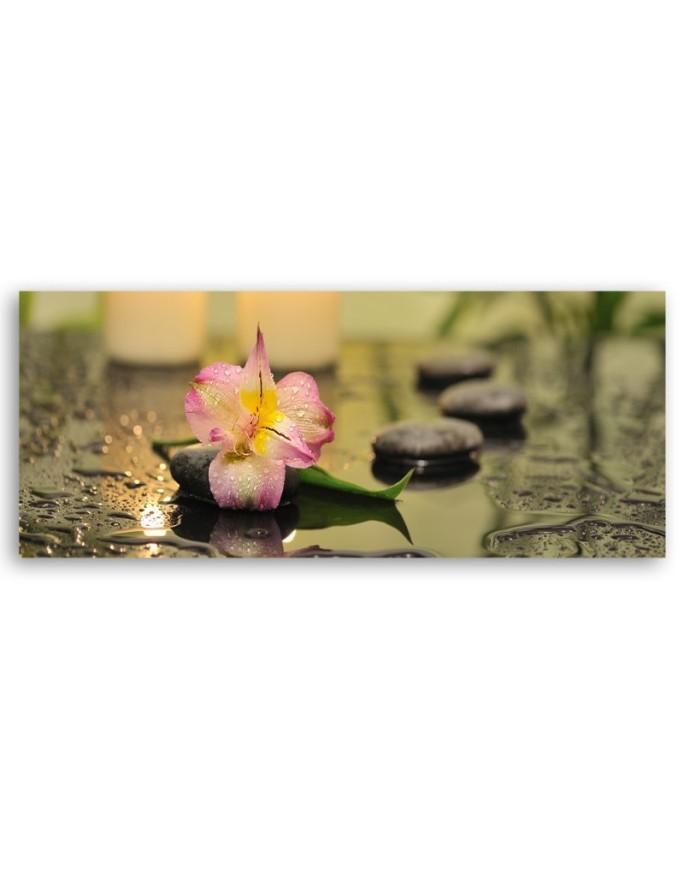 Orchidea Kamienie Zen - Obraz do salonu i sypialni | Feeby.pl