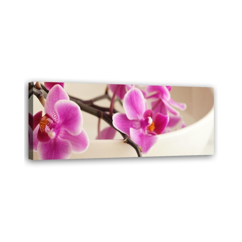 Leinwandbild - Rosa Orchidee | Feeby