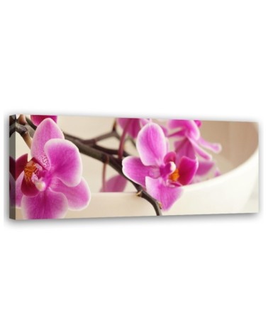 Leinwandbild - Rosa Orchidee | Feeby