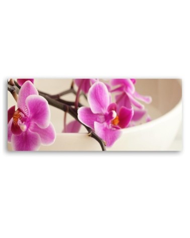 Leinwandbild - Rosa Orchidee | Feeby