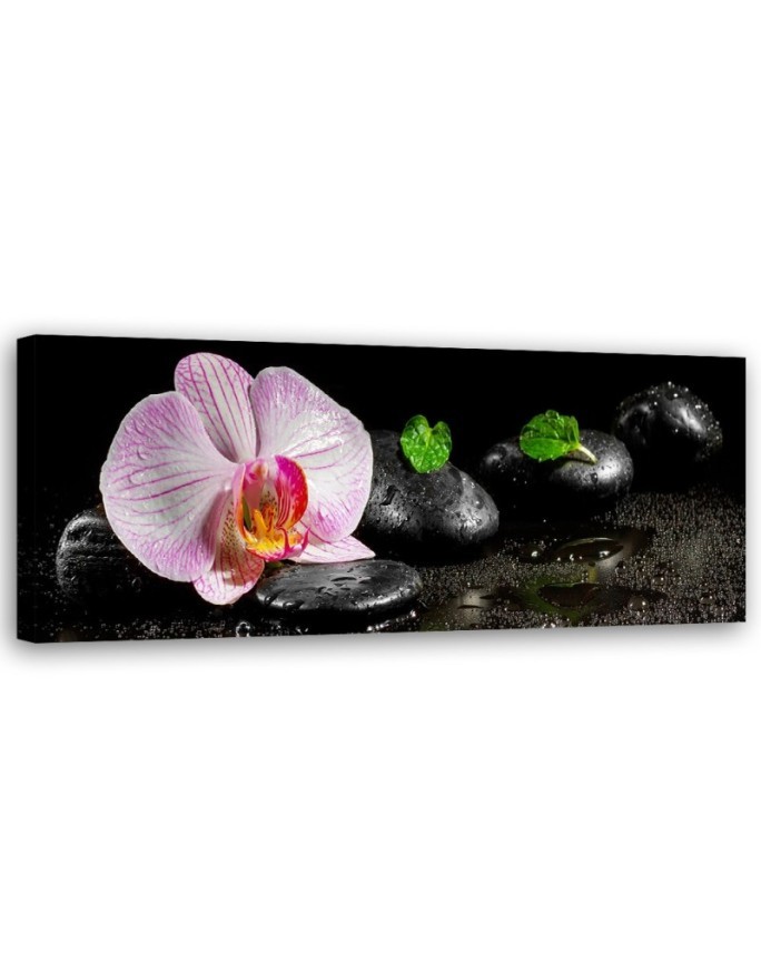 Wandbild für Wohnzimmer - Blühende Zen-Orchidee | Feeby