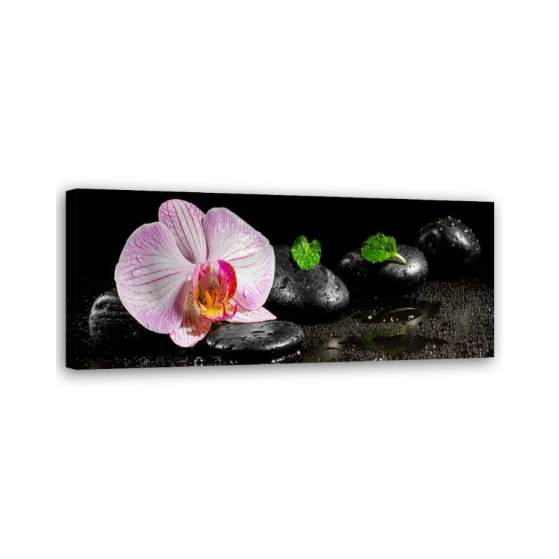 Wandbild für Wohnzimmer - Blühende Zen-Orchidee | Feeby