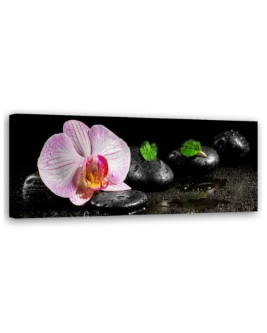 Wandbild für Wohnzimmer - Blühende Zen-Orchidee | Feeby