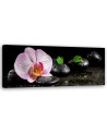 Kwitnąca orchidea zen - Obraz na ścianę do sypialni | Feeby.pl