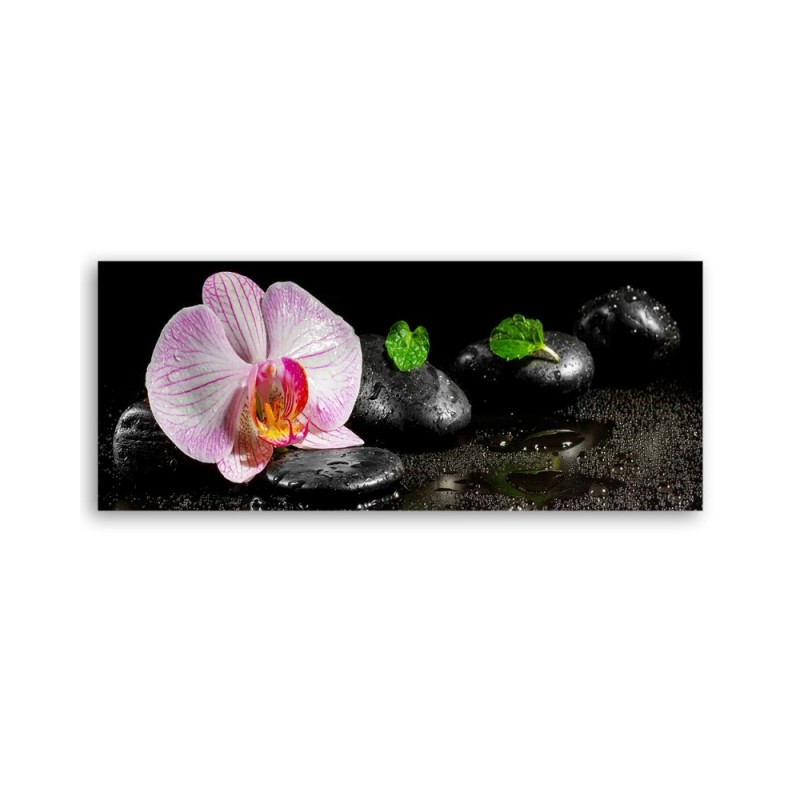 Wandbild für Wohnzimmer - Blühende Zen-Orchidee | Feeby