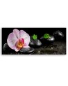 Kwitnąca orchidea zen - Obraz na ścianę do sypialni | Feeby.pl