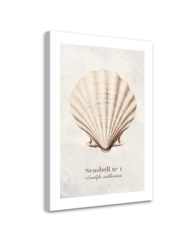 Modernes Wandbild - Natürliche Muschel | Feeby