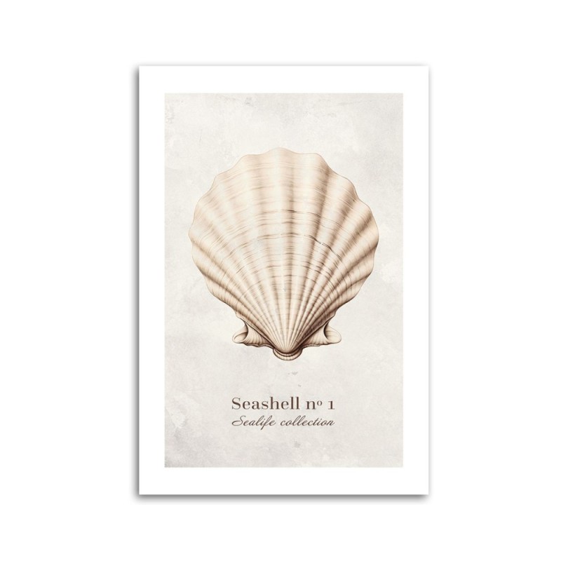 Modernes Wandbild - Natürliche Muschel | Feeby