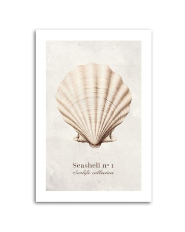 Modernes Wandbild - Natürliche Muschel | Feeby