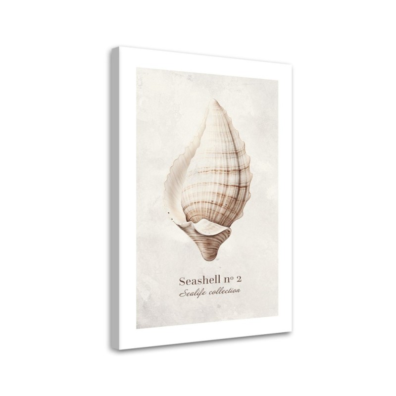 Leinwandbild - Muschel auf natürlichem Hintergrund | Feeby