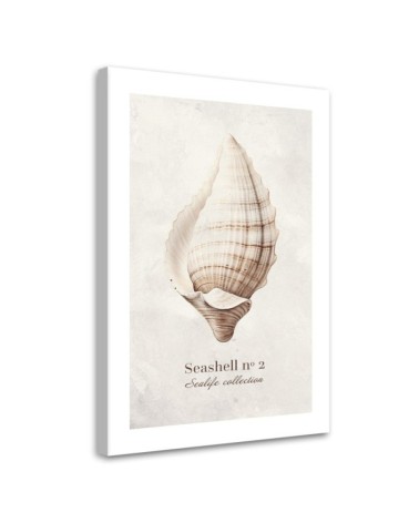Leinwandbild - Muschel auf natürlichem Hintergrund | Feeby