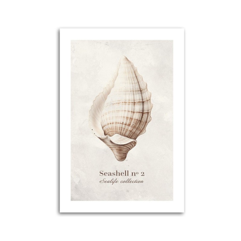 Obraz na płótnie nowoczesny - Muszla na naturalnym tle | Feeby.pl