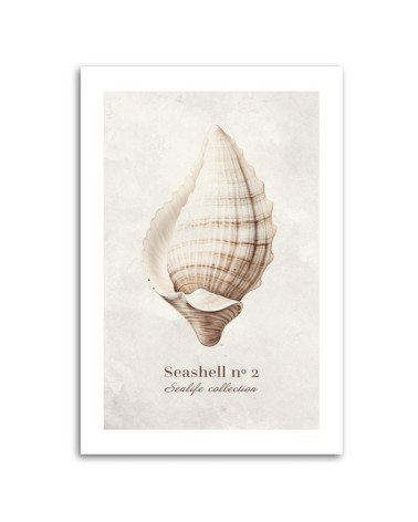 Leinwandbild - Muschel auf natürlichem Hintergrund | Feeby