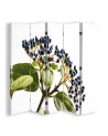Parawan Czarny bez - feeby.pl