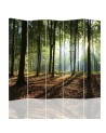 Parawan Promienie słońca w lesie - feeby.pl