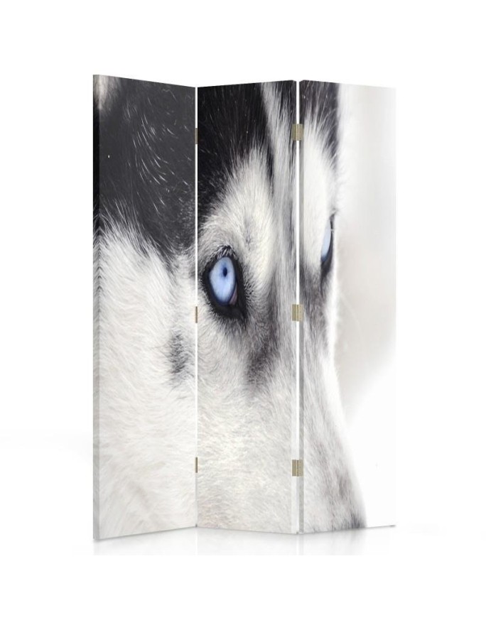 Parawan Syberyjski husky - feeby.pl